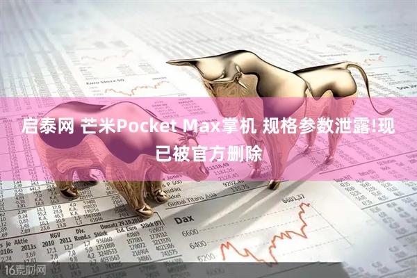 启泰网 芒米Pocket Max掌机 规格参数泄露!现已被官方删除