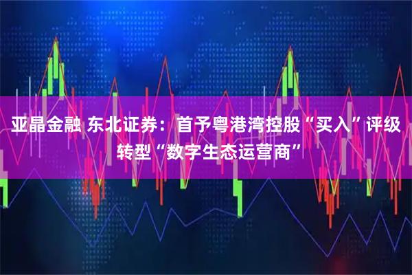 亚晶金融 东北证券:首予粤港湾控股“买入”评级 转型“数字生态运营商”